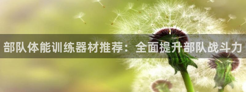 星欧娱乐退款流程详解：部队体能训练器材推荐：全面提升