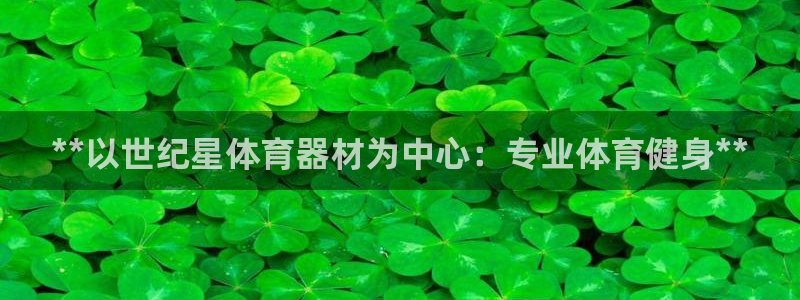 星欧娱乐联游戏评测：**以世纪星体育器材为中心：专业