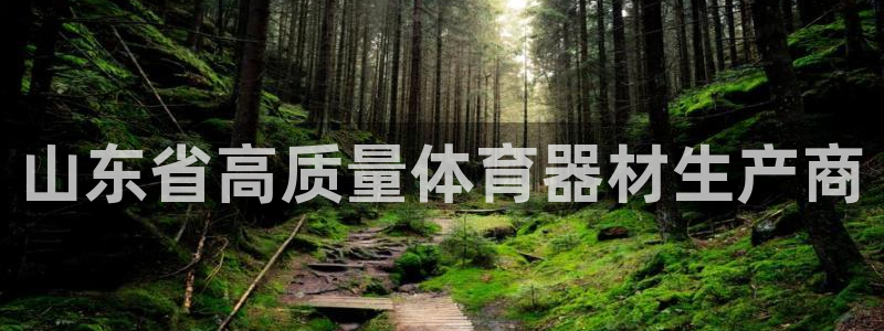 星欧娱乐属于什么档次的公司啊：山东省高质量体育器材生