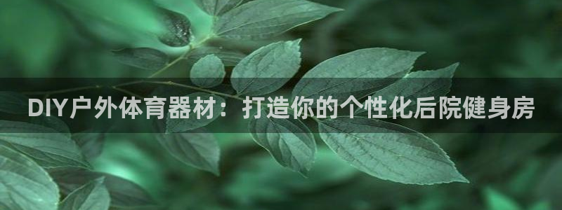星欧娱乐扣费后解决方法：DIY户外体育器材：打造你的