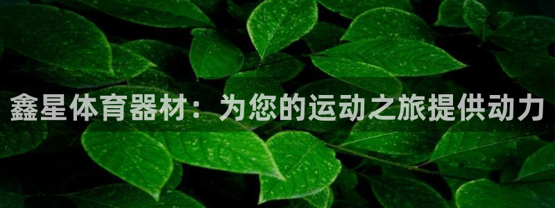 星游娱乐1官网下载：鑫星体育器材：为您的运动之旅提供
