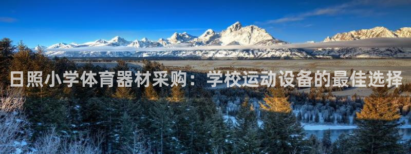 星欧娱乐官方客服联系方式电话：日照小学体育器材采购：