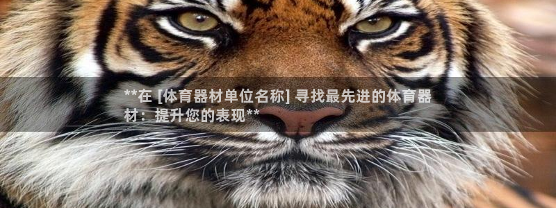 星欧娱乐扣款流程详解视频播放：**在 [体育器材单位