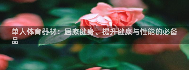 星欧娱乐属于什么档次的公司名称：单人体育器材：居家健