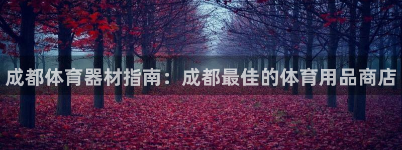 星欧娱乐公司简介：成都体育器材指南：成都最佳的体育用