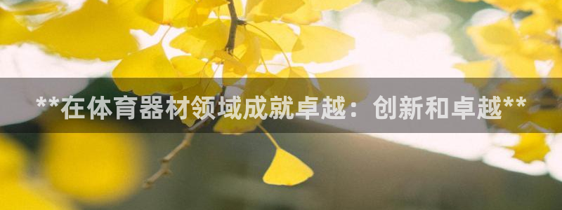 星欧娱乐app最新版本更新内容下载：**在体育器材领