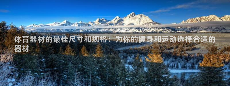 星奥盛典娱乐会所：体育器材的最佳尺寸和规格：为你的健