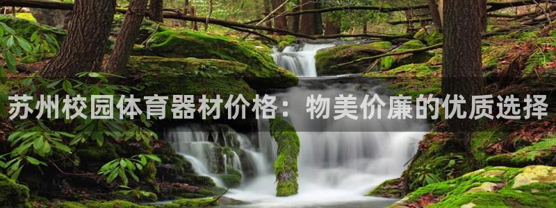 星欧娱乐公司：苏州校园体育器材价格：物美价廉的优质选