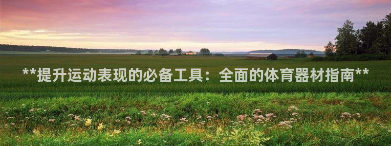 星欧娱乐平台道7O777：**提升运动表现的必备工具