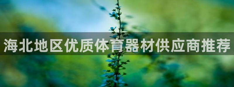 星欧娱乐挂机赚钱是真的吗：海北地区优质体育器材供应商