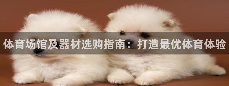 星欧娱乐扣款流程详解视频播放：体育场馆及器材选购指南