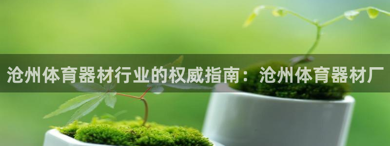 星奥娱乐集团股份有限公司官网：沧州体育器材行业的权威