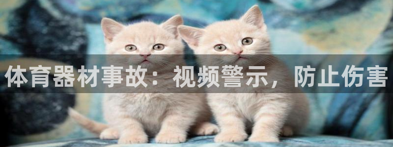 星欧娱乐平台测速线路：体育器材事故：视频警示，防止伤