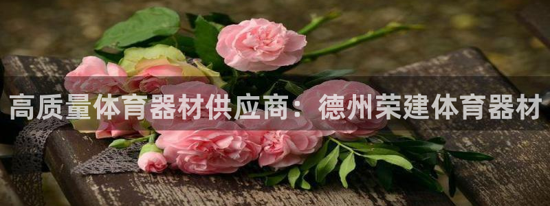 星奥盛典娱乐会所：高质量体育器材供应商：德州荣建体育