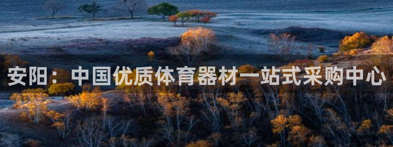 星欧娱乐属于什么档次的公司名称：安阳：中国优质体育器