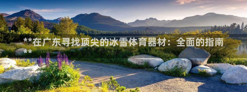 星奥娱乐招聘：**在广东寻找顶尖的冰雪体育器材：全面