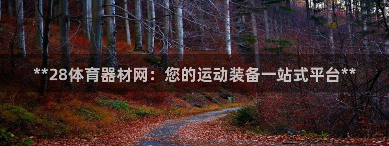 星欧娱乐平台方7O777：**28体育器材网：您的运