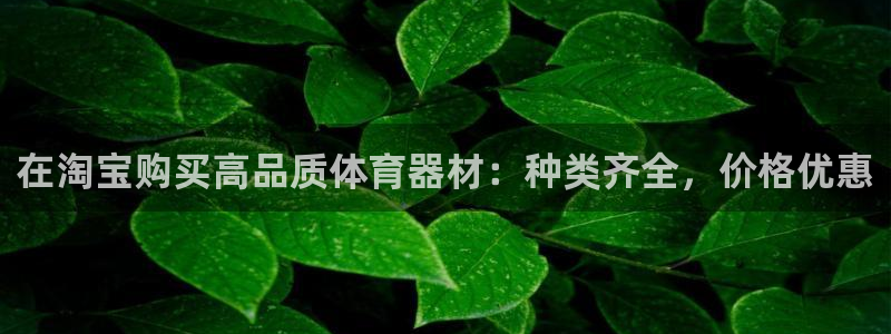 星欧娱乐官网下载：在淘宝购买高品质体育器材：种类齐全