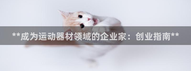 星欧娱乐总代.直开.中国：**成为运动器材领域的企业