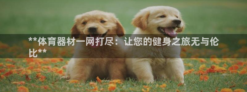 星欧娱乐app最新版本更新内容是什么：**体育器材一