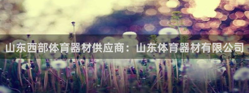 星欧娱乐的创始人背景故事简介：山东西部体育器材供应商