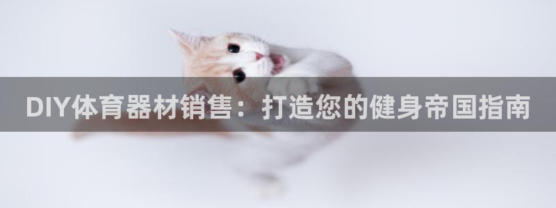 星欧娱乐信存手机版下载：DIY体育器材销售：打造您的