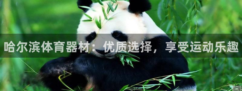 星澳娱乐公司地址：哈尔滨体育器材：优质选择，享受运动