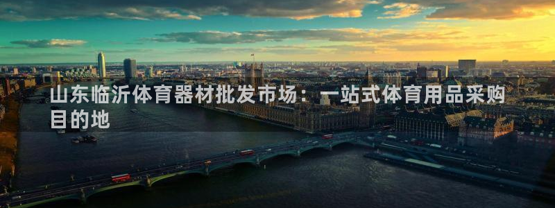 星奥娱乐旗下艺人：山东临沂体育器材批发市场：一站式体