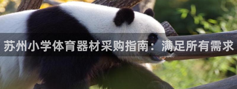 星欧娱乐挂机教程下载：苏州小学体育器材采购指南：满足