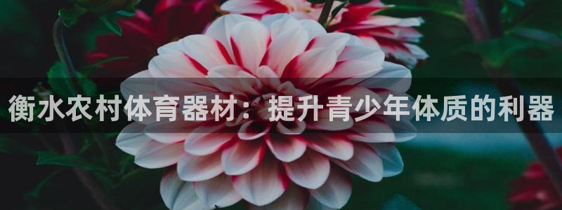 星欧娱乐平台测速线路设置：衡水农村体育器材：提升青少