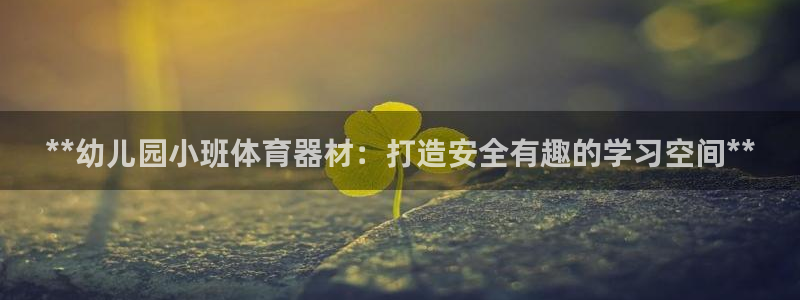 星欧娱乐平台：**幼儿园小班体育器材：打造安全有趣的