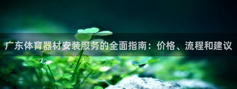星欧娱乐挂机教程视频：广东体育器材安装服务的全面指南：价格、