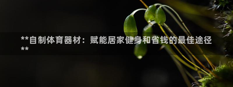 星娱乐是谁的公司：**自制体育器材：赋能居家健身和省