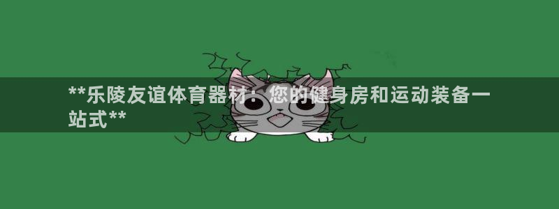 星欧娱乐联售后服务评价：**乐陵友谊体育器材：您的健