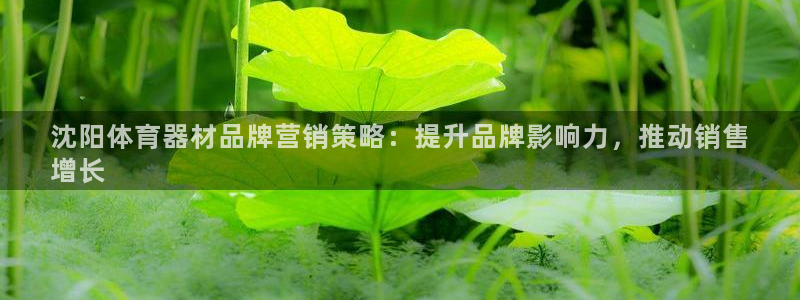 星欧娱乐扣款流程详解图高清：沈阳体育器材品牌营销策略