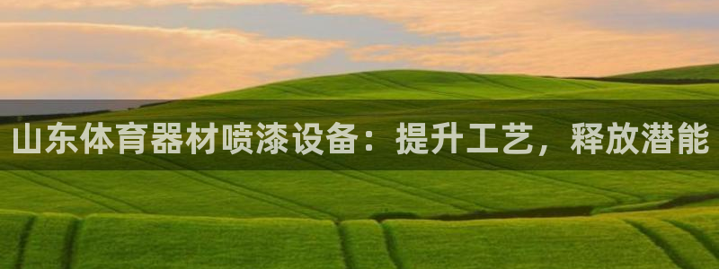 星欧娱乐游戏中心官网登录：山东体育器材喷漆设备：提升