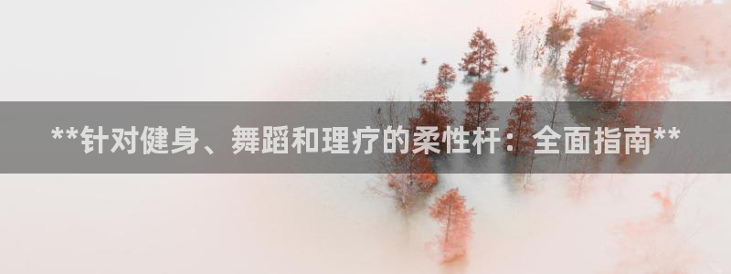 星欧娱乐联售后服务评价：**针对健身、舞蹈和理疗的柔性杆：全
