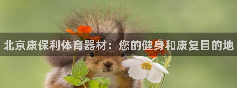 星欧娱乐最建议买的三个产品是哪三个：北京康保利体育器