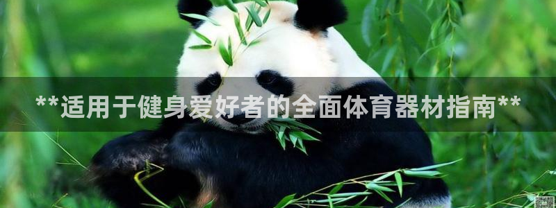 星欧娱乐扣款流程详解图片大全：**适用于健身爱好者的
