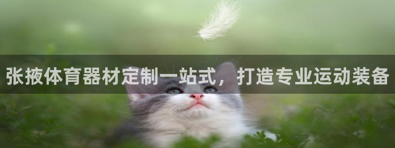 星欧娱乐平台怎么样啊安全吗：张掖体育器材定制一站式，