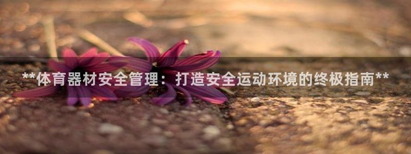 星欧娱乐联最新功能介绍：**体育器材安全管理：打造安