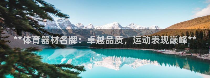 星欧娱乐app最新版本更新内容下载：**体育器材名牌