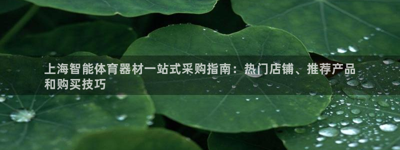 星欧娱乐平台地7O777：上海智能体育器材一站式采购