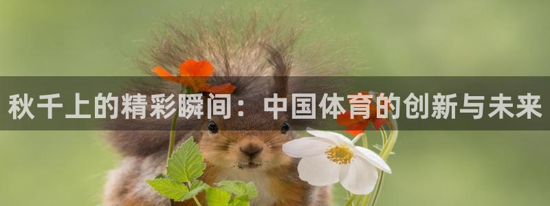 星欧娱乐联和哪个品牌合作