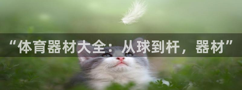 星欧娱乐平台测速线路设置