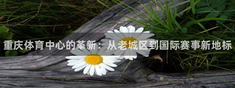 星欧娱乐公司地址