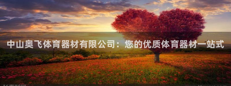 星欧娱乐的官方版本更新内容是什么：中山奥飞体育器材有