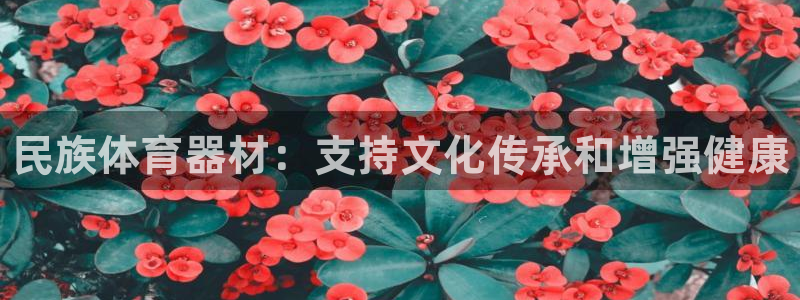 星欧娱乐扣款流程详解：民族体育器材：支持文化传承和增