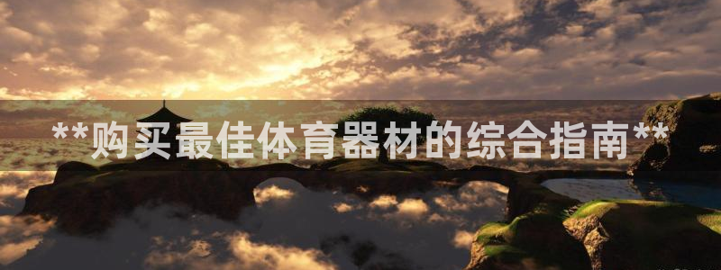 星欧娱乐挂机教程：**购买最佳体育器材的综合指南**