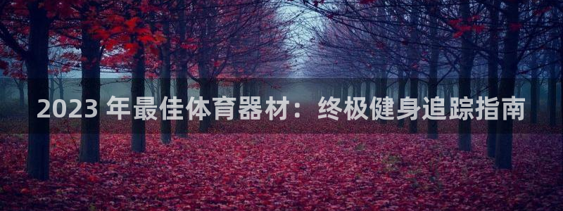 星欧娱乐公司创始人背景故事介绍：2023 年最佳体育器材：终